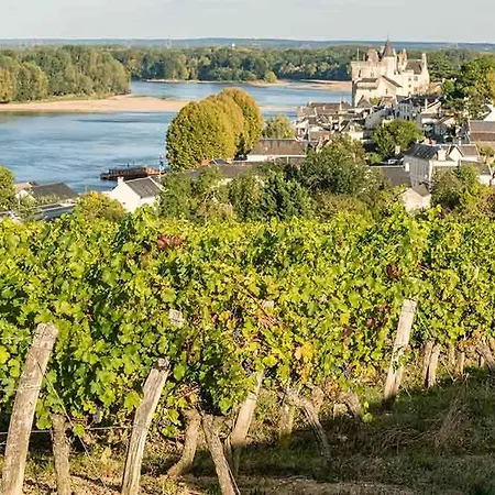 Hébergement de vacances Entre Loire Et Vignes
