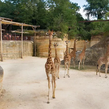 Entre Loire Et Vignes Charcé-Saint-Ellier-sur-Aubance