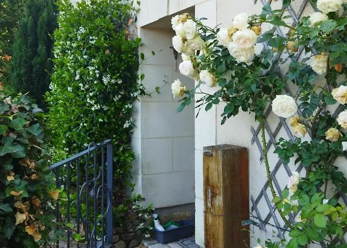 Entre Loire Et Vignes