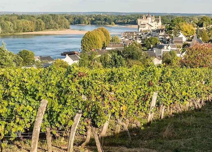 Сasa de vacaciones Entre Loire Et Vignes