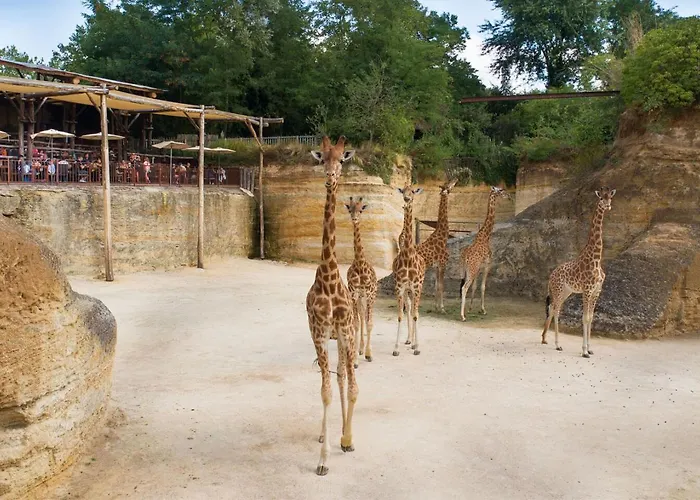 Entre Loire Et Vignes Charcé-Saint-Ellier-sur-Aubance